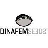 Dinafem Seeds