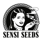 Sensi Seeds