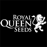 Royal Queen Seeds