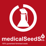 Medical Seeds